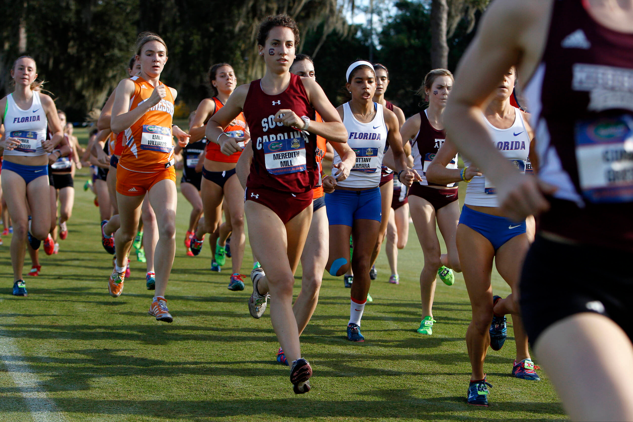 Gamecocks Rank in Top 10 in GPA; Meredith Mill USTFCCCA All-Academic