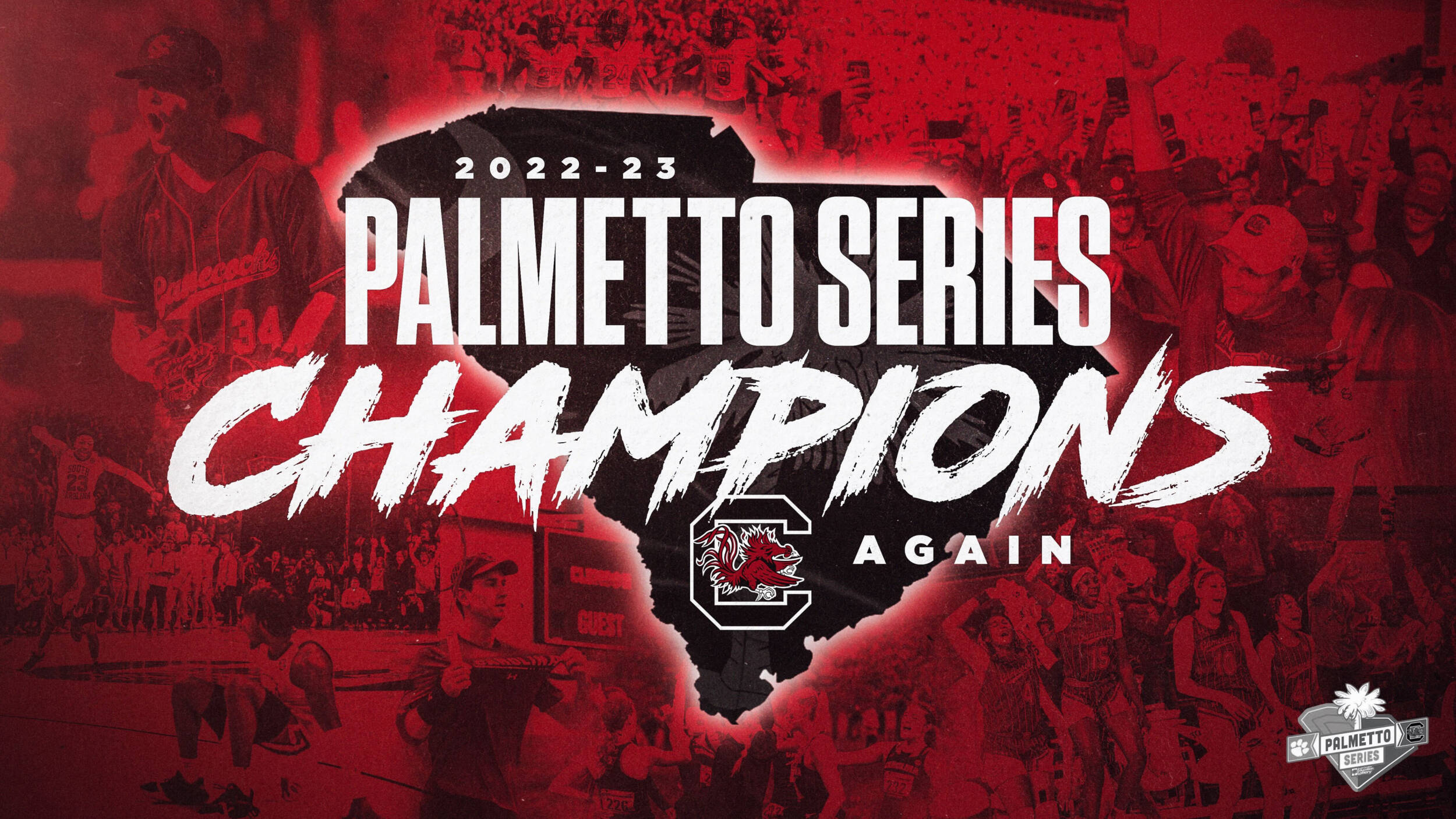 Gamecocks Take Fifth-Straight Palmetto Series Title over Tigers