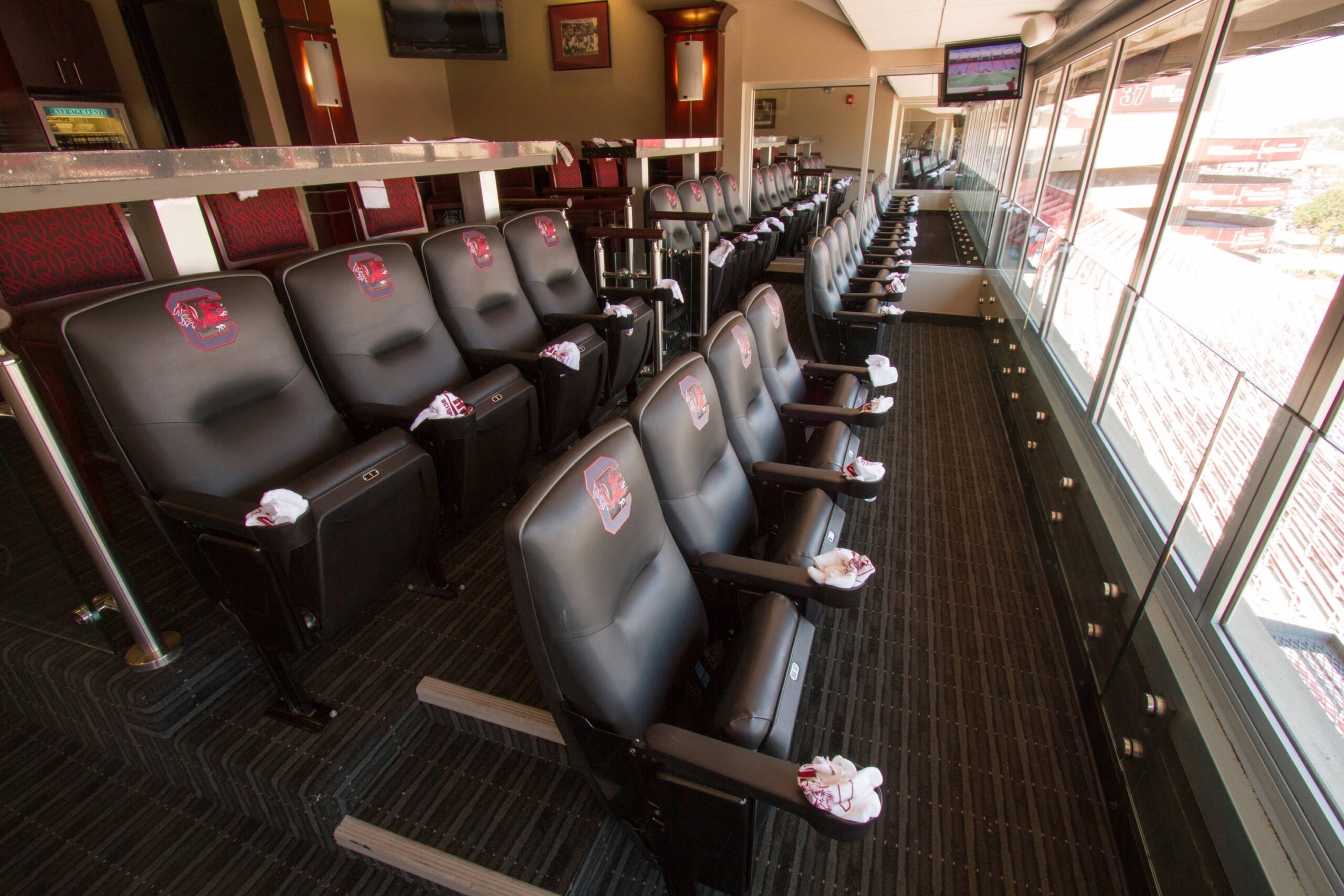 Williams-Brice Stadium Suites