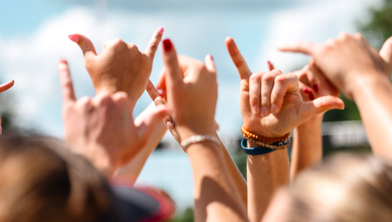 University of South Carolina Athletics