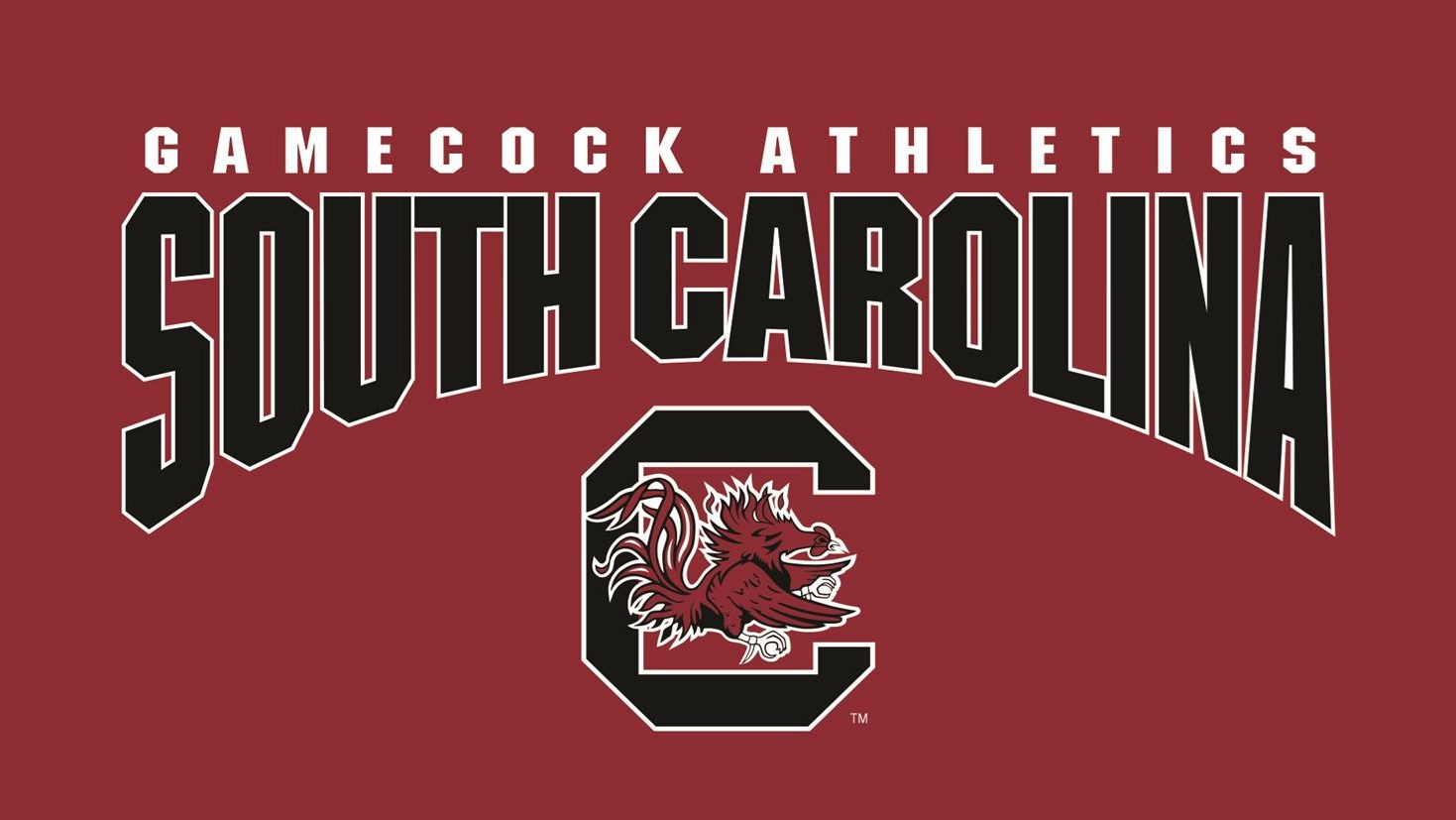 Preparing for Student-Athlete Return in Summer 2020 to the University of South Carolina