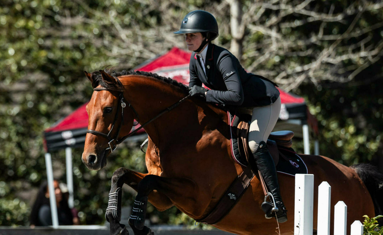 University of South Carolina Athletics