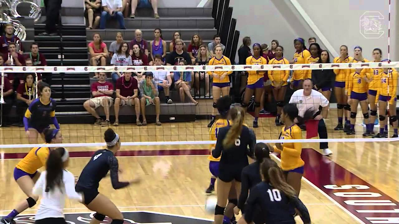 Highlights: South Carolina Volleyball Defeats ECU, 3-0
