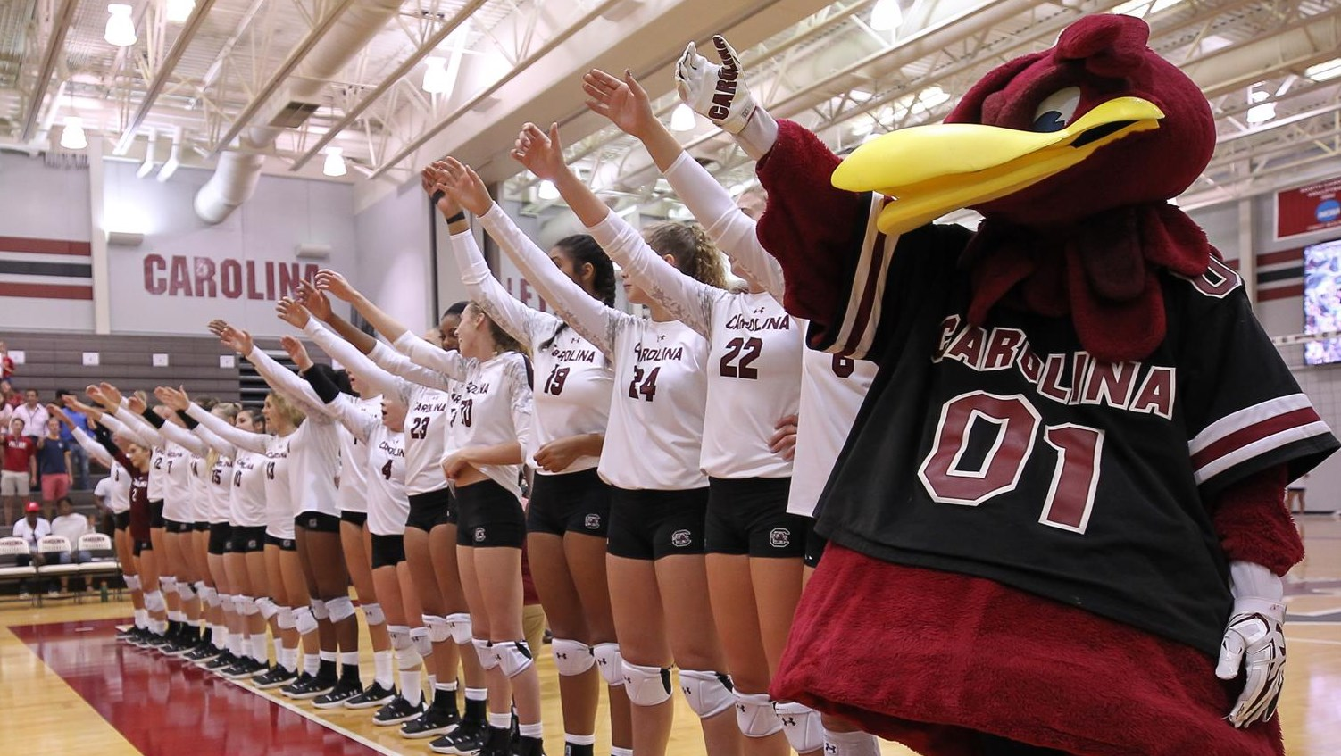 Volleyball Preps for Three Weekend Home Matches
