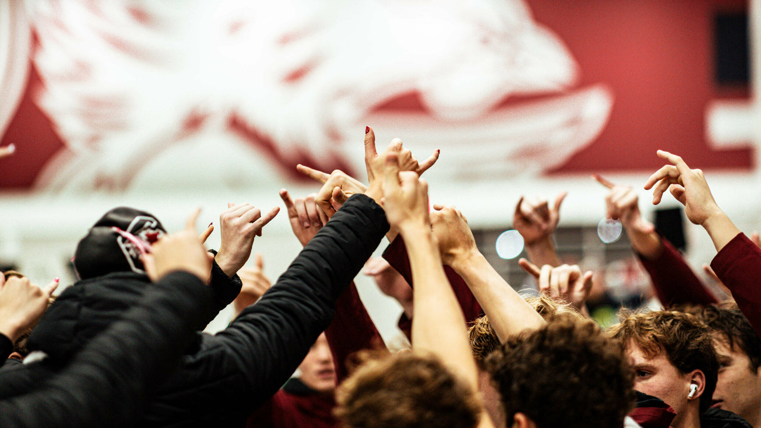 Seven Gamecocks Earn CSC Academic All-District Swimming & Diving Team