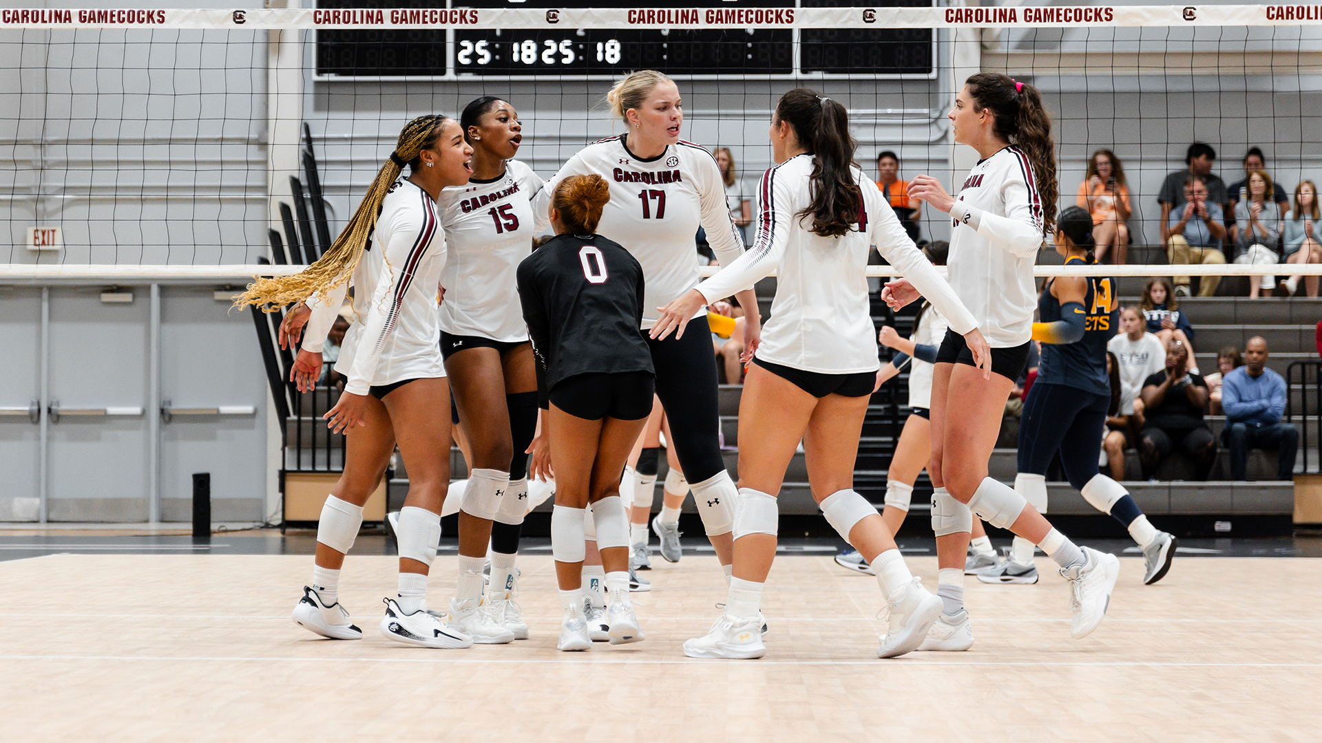 Gamecocks Set for ACC Tests Against NC State, North Carolina