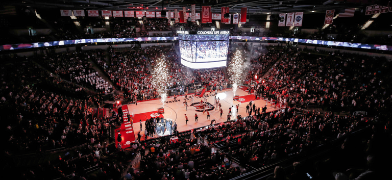 University of South Carolina Athletics