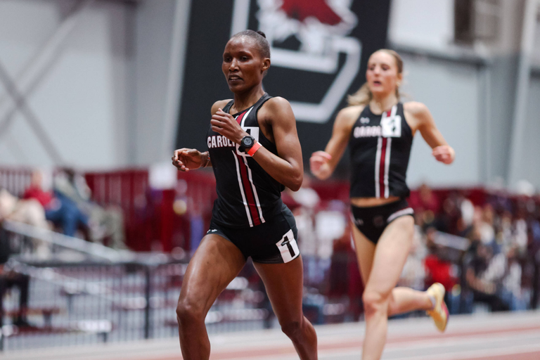 University of South Carolina Athletics