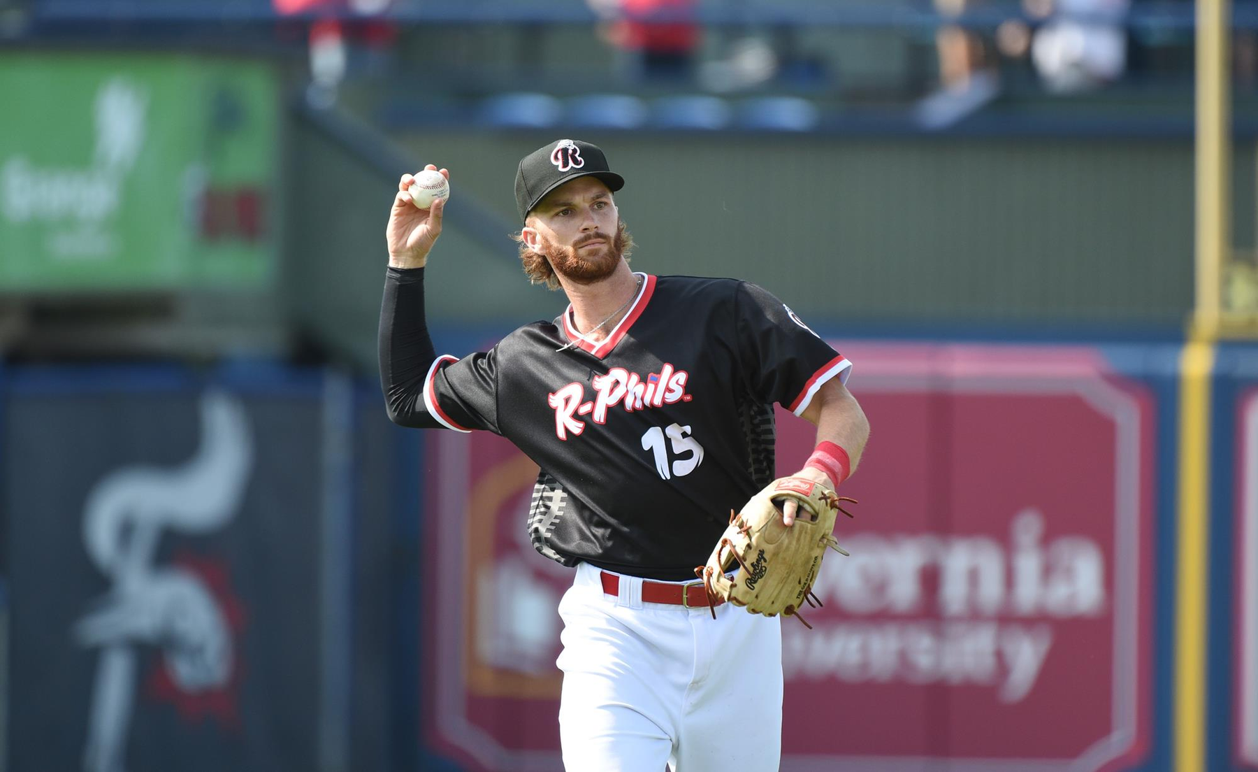 Gamecocks in the Minor Leagues - 2021 Season Wrap-Up