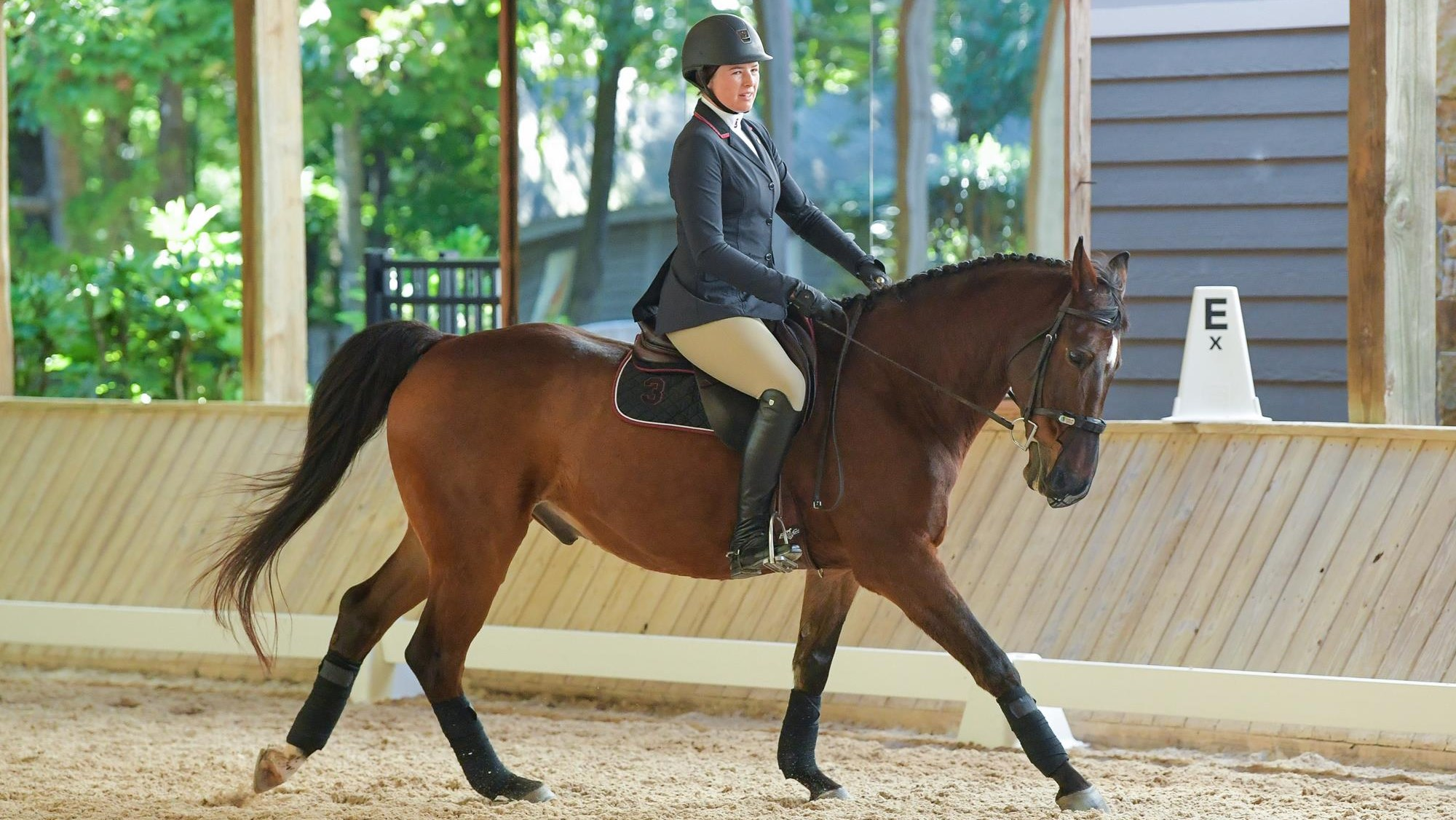 Toby Named NCEA Horse of the Month