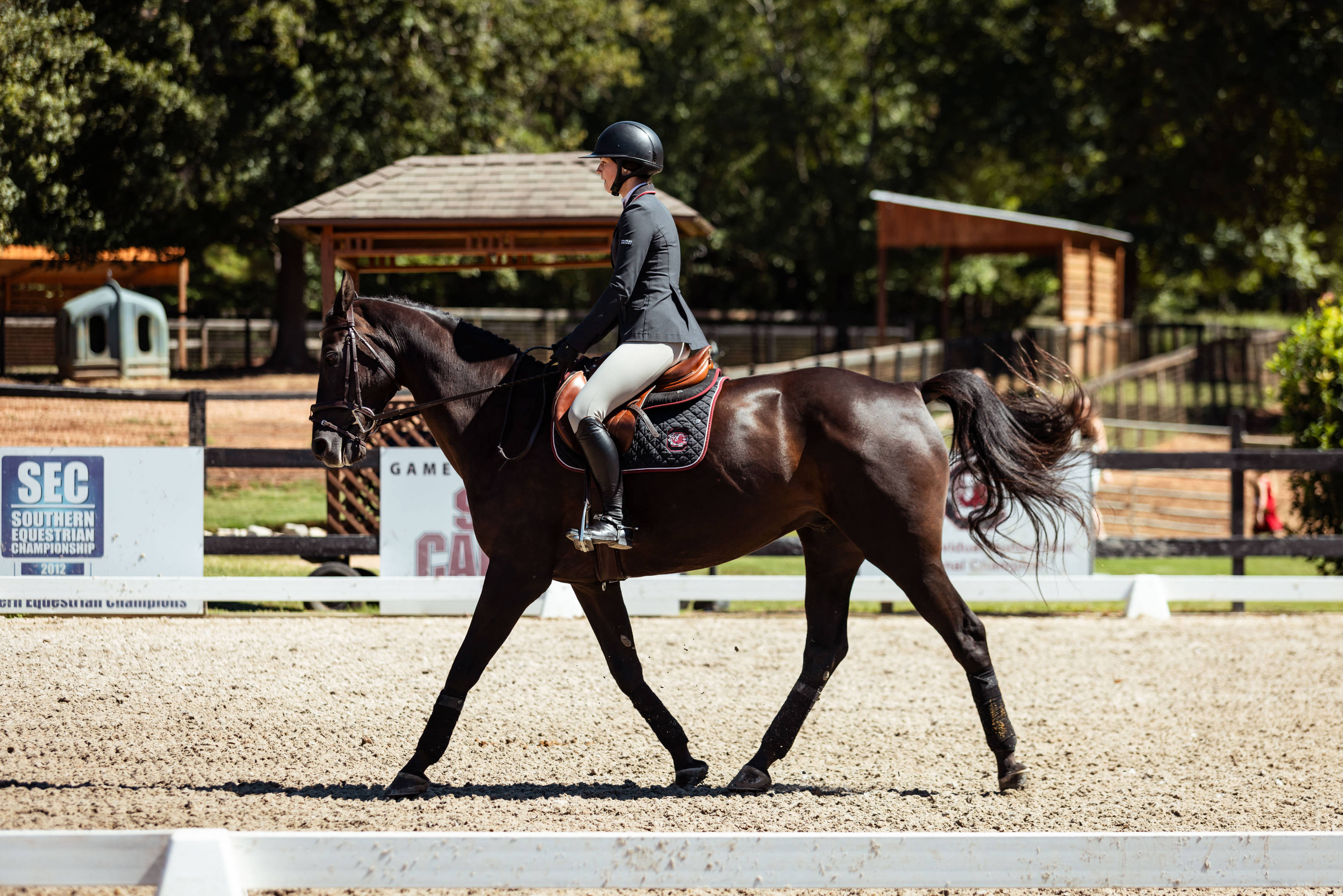 Equestrian Takes Down Sewanee to Wrap Up Exhibition Weekend