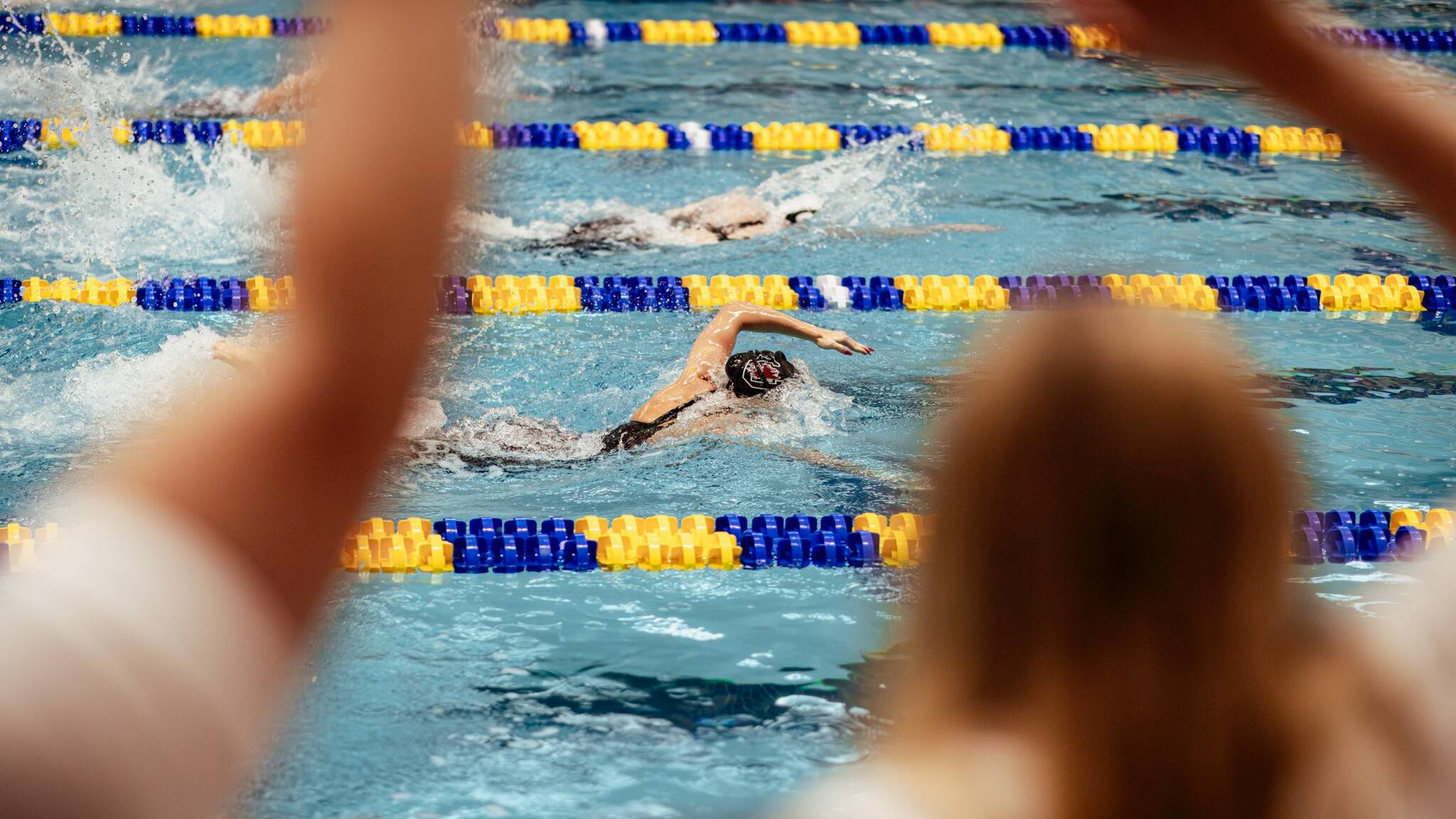 Gamecocks Rank No. 16 in Final CSCAA Division I Poll