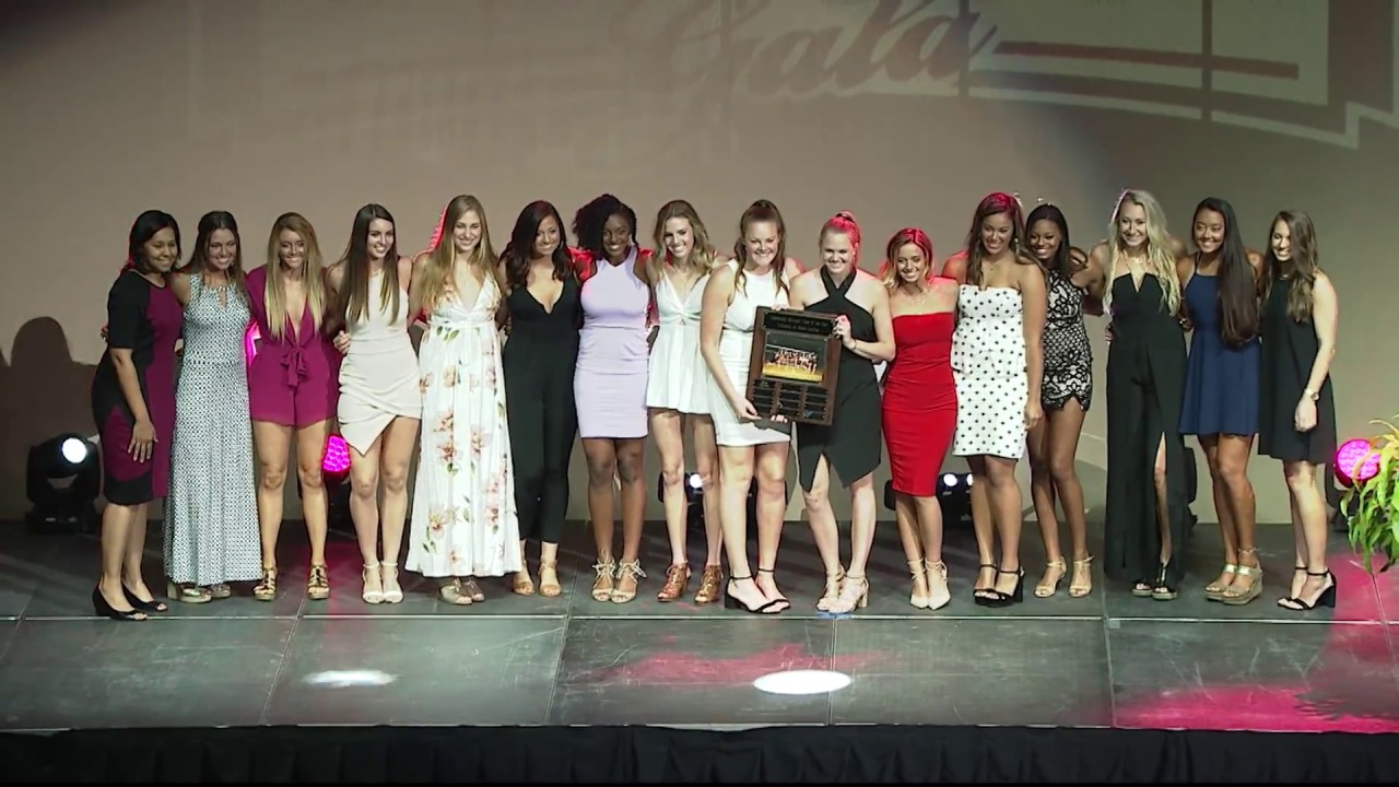 2018 Gamecock Gala Community Outreach Team of the Year — Volleyball