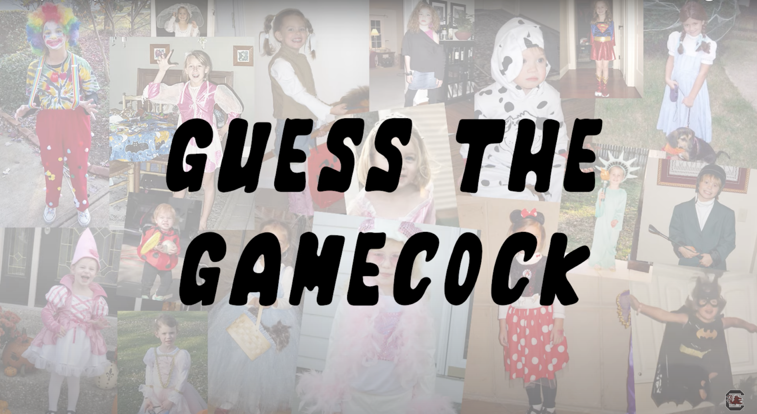 Volleyball Plays Guess the Gamecock - Halloween Edition