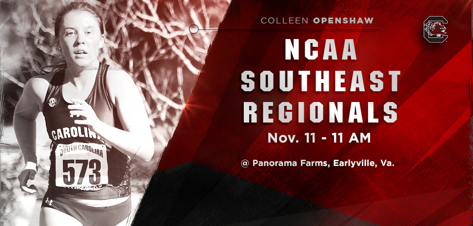 Gamecocks Ready for NCAA Southeast Regionals