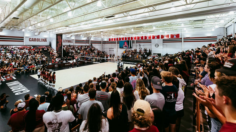 University of South Carolina Athletics