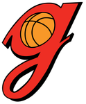 Georgia Women's Basketball Logo
