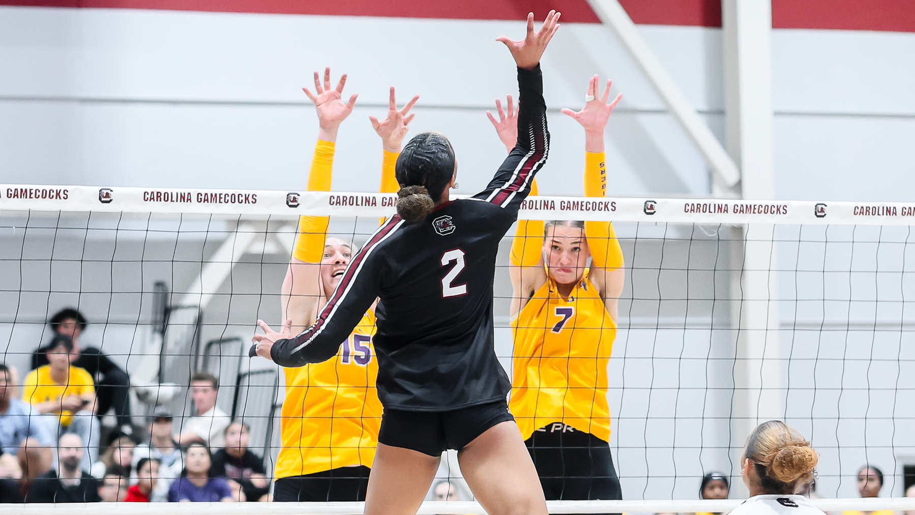 Gamecocks Fall to LSU