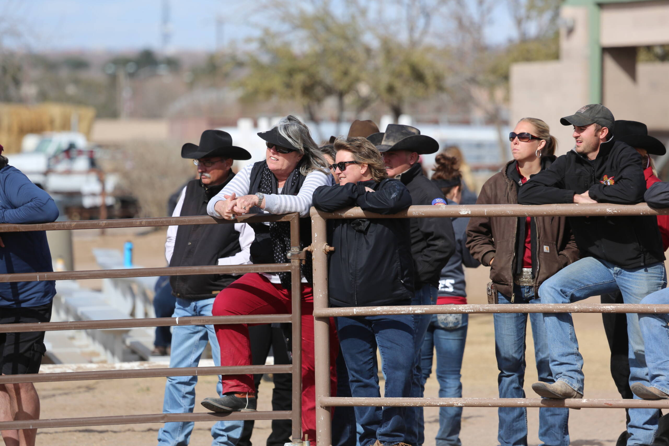 Equestrian at New Mexico State (2/1/14)