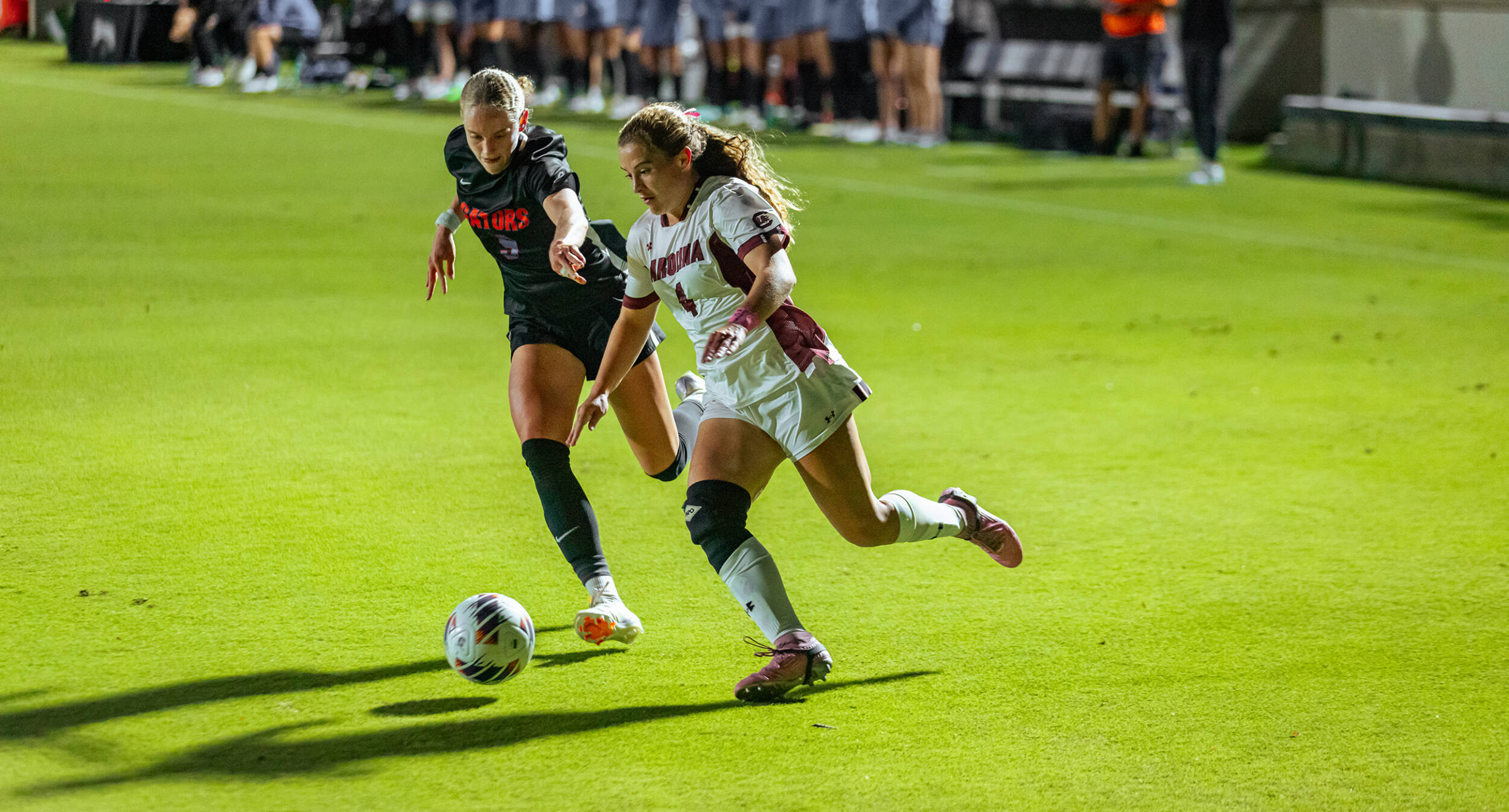 Katie Shea Collins 2024