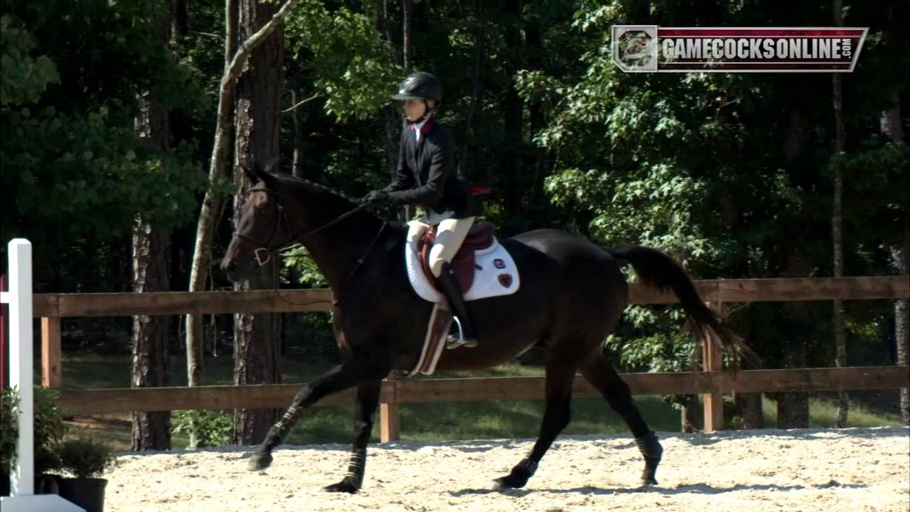 Highlights: South Carolina Equestrian vs. Kansas State - 2013