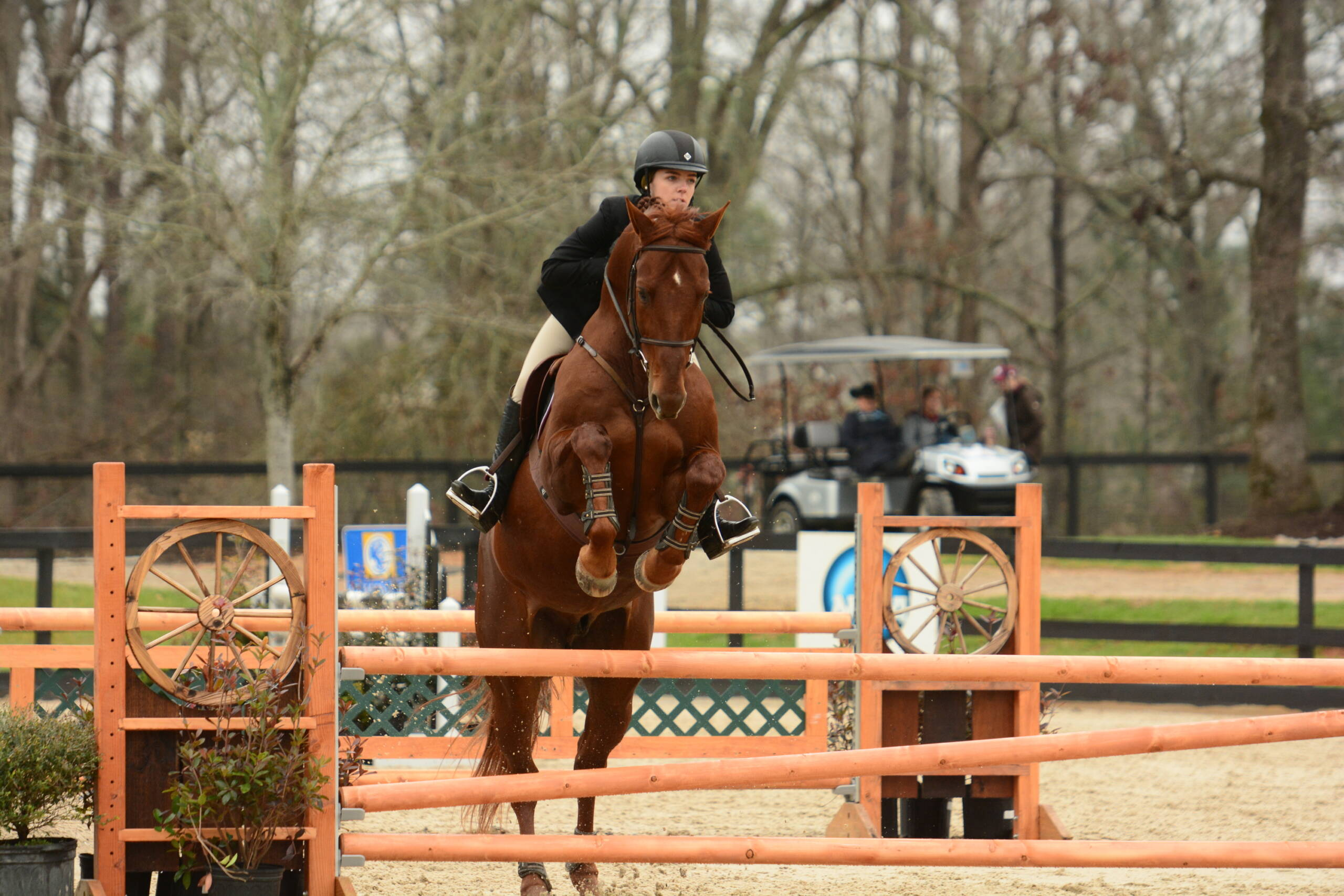 Gamecocks Finish Season at NCEA Championship