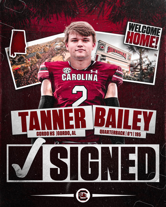 Tanner Bailey - Football - University of South Carolina Athletics