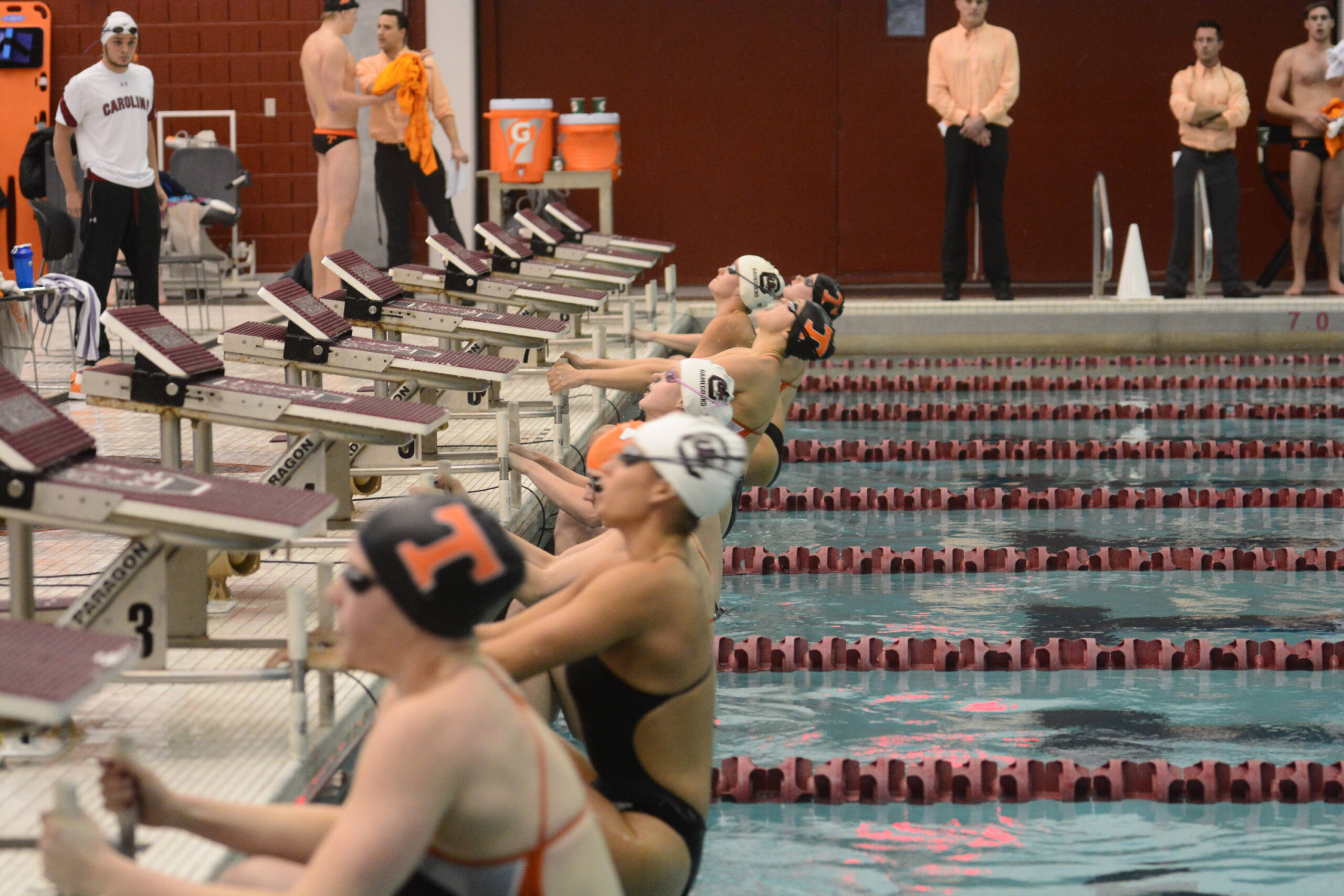 Swimming and Diving Hosts Final Home Meet of 2016-17 Season
