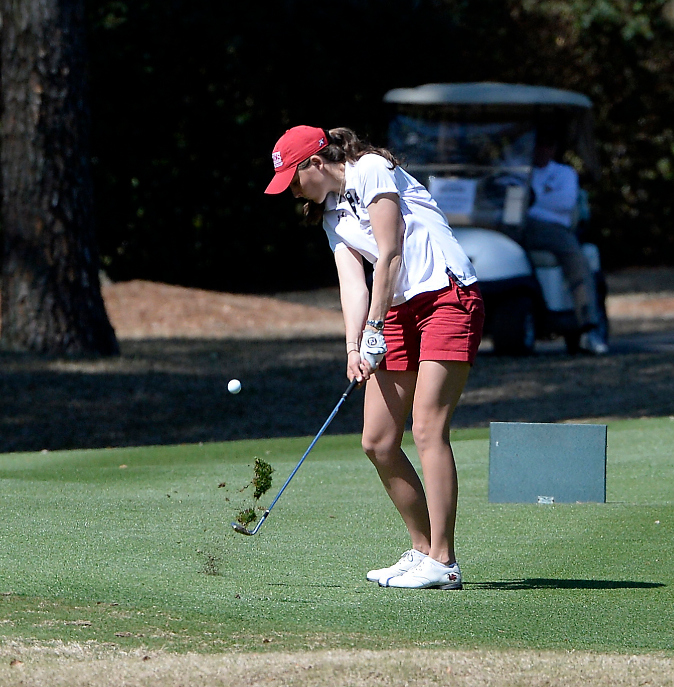 Gamecocks Set to Close Out Regular Season at PING ASU Invitational