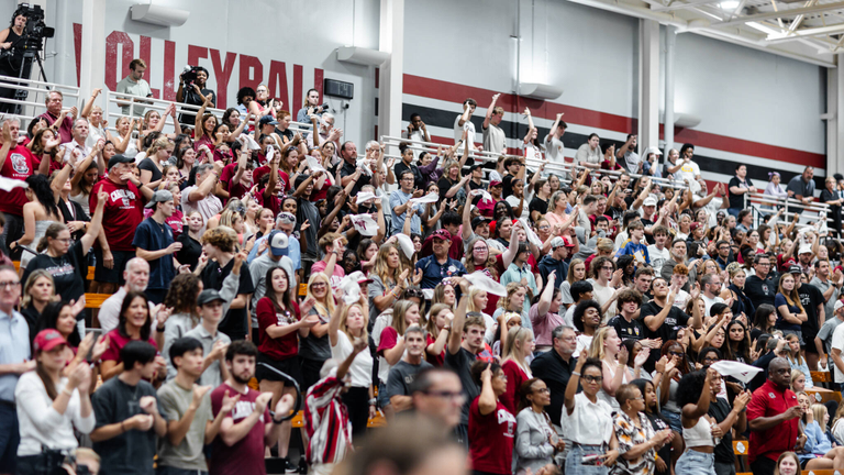 University of South Carolina Athletics