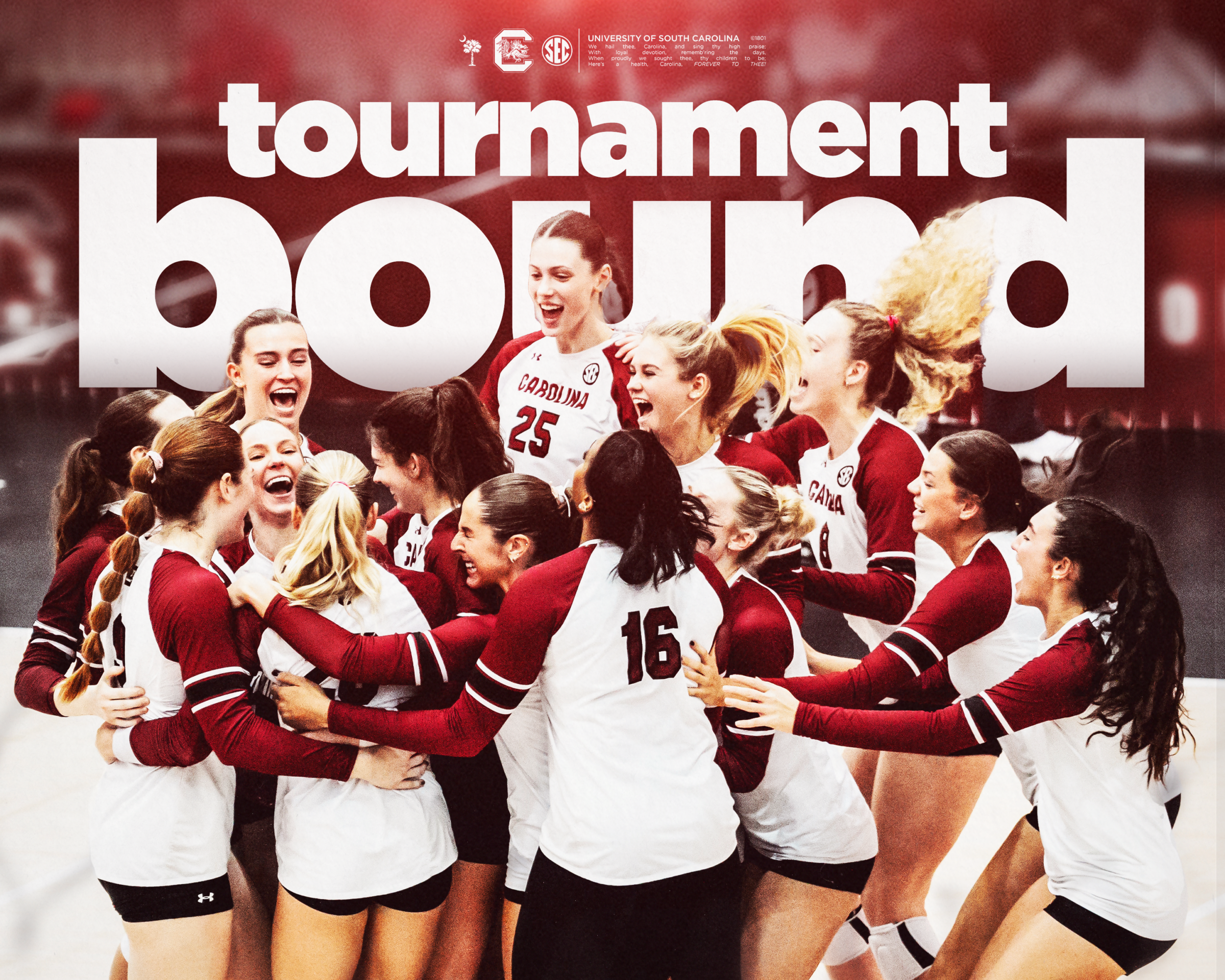 Volleyball Earns At-Large Berth to NCAA Tournament