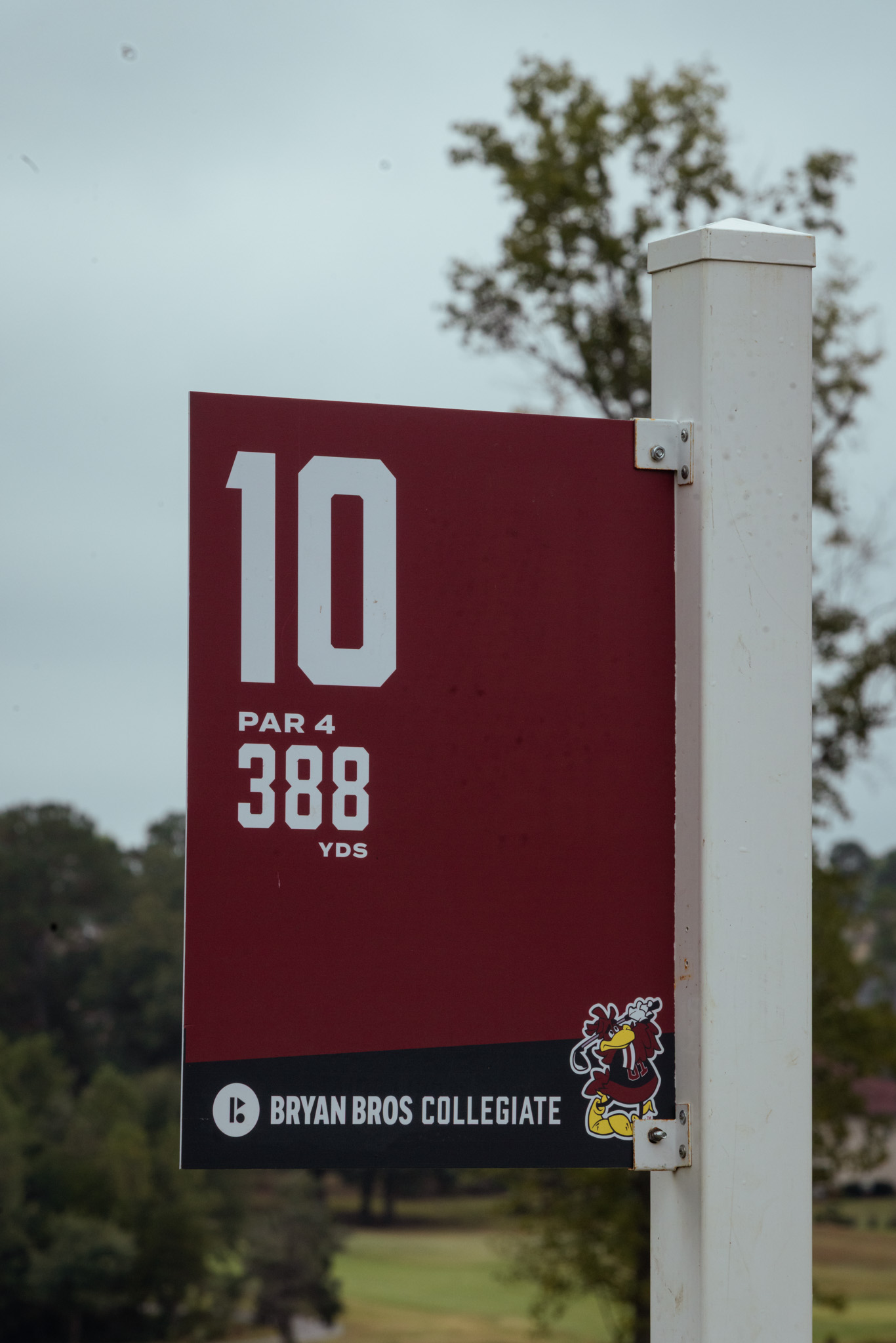 Gamecocks Host Second Edition of Bryan Bros Collegiate Monday