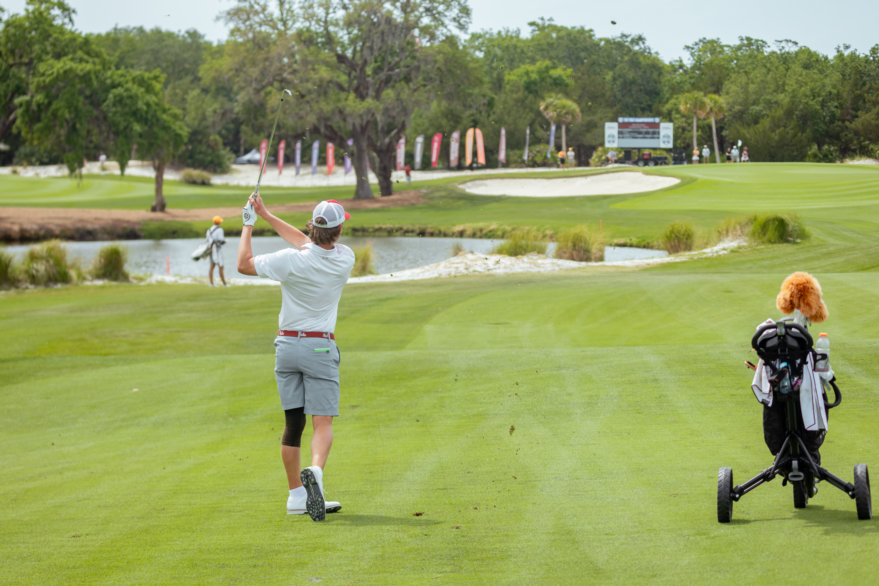 Harris Tabbed Golfweek All-American