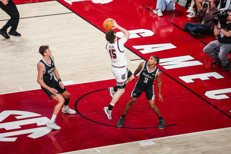 University of South Carolina Athletics