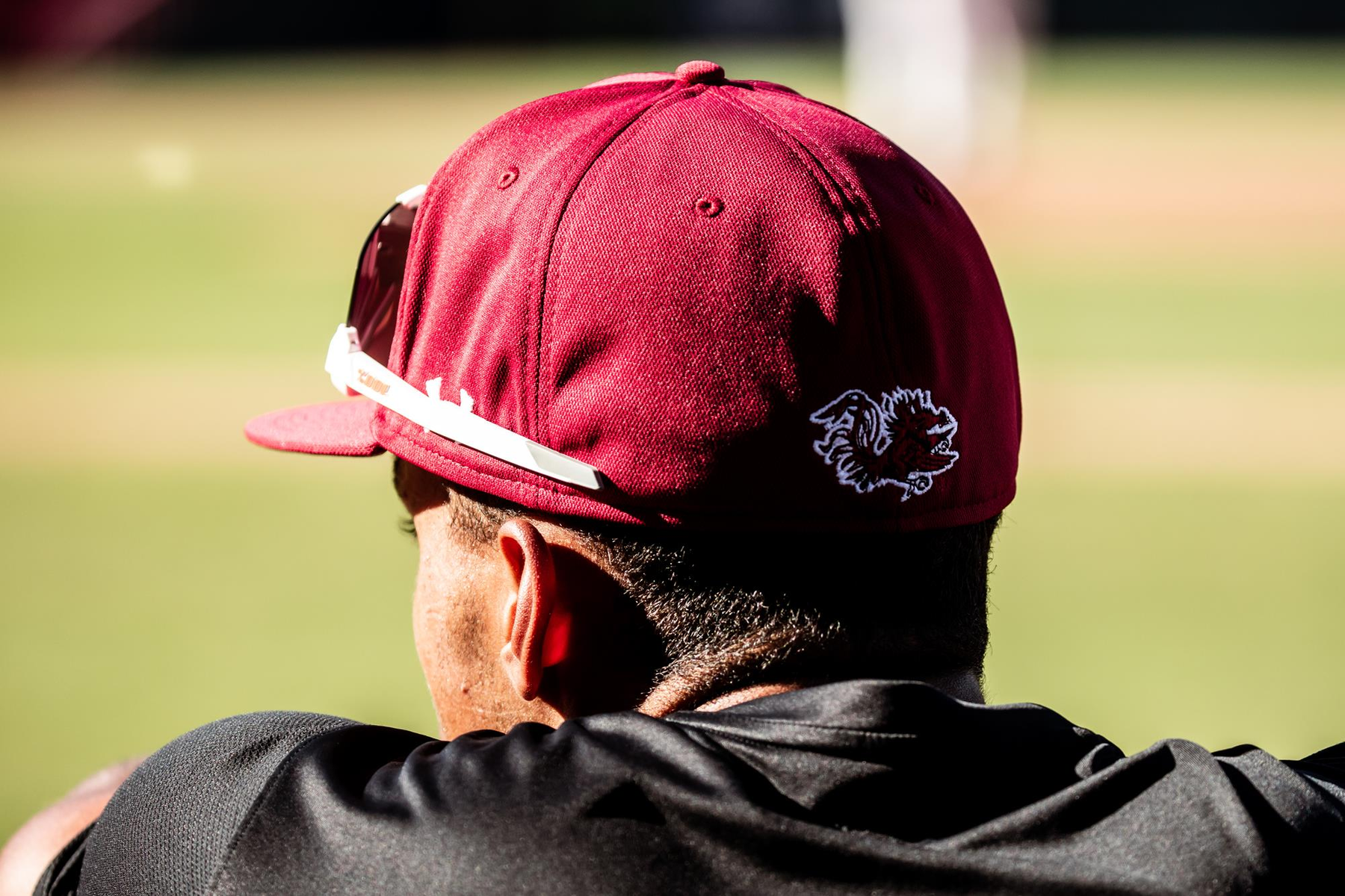 Baseball Hosts UNC Wilmington Saturday in Fall Scrimmage