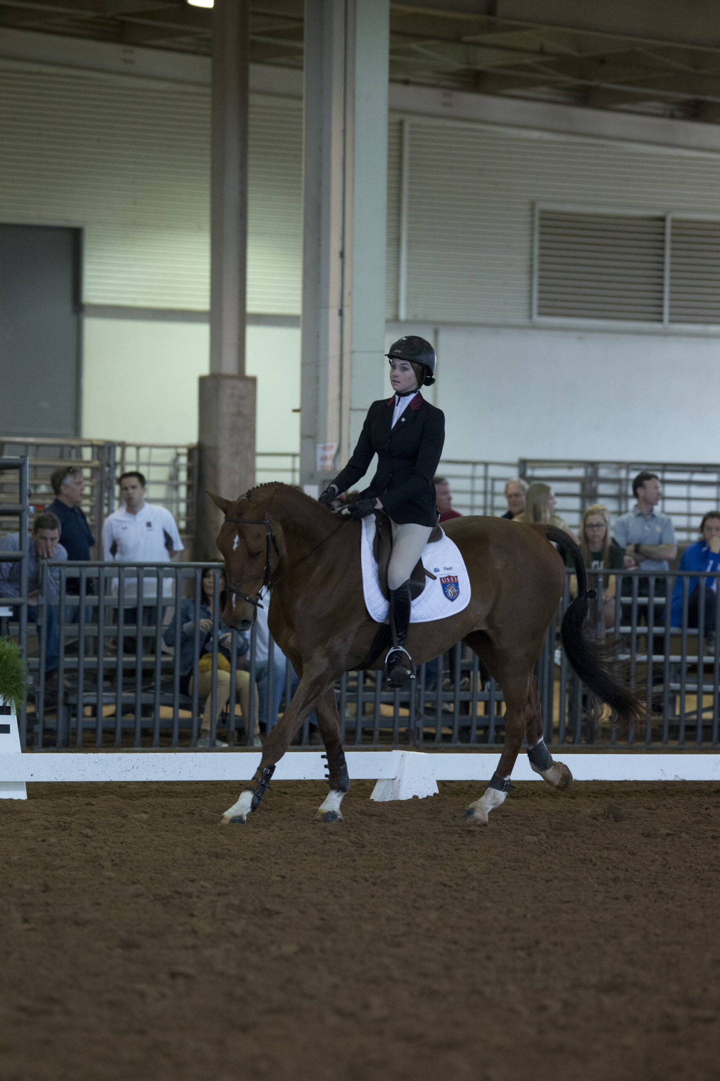 2015 Equestrian National Championship