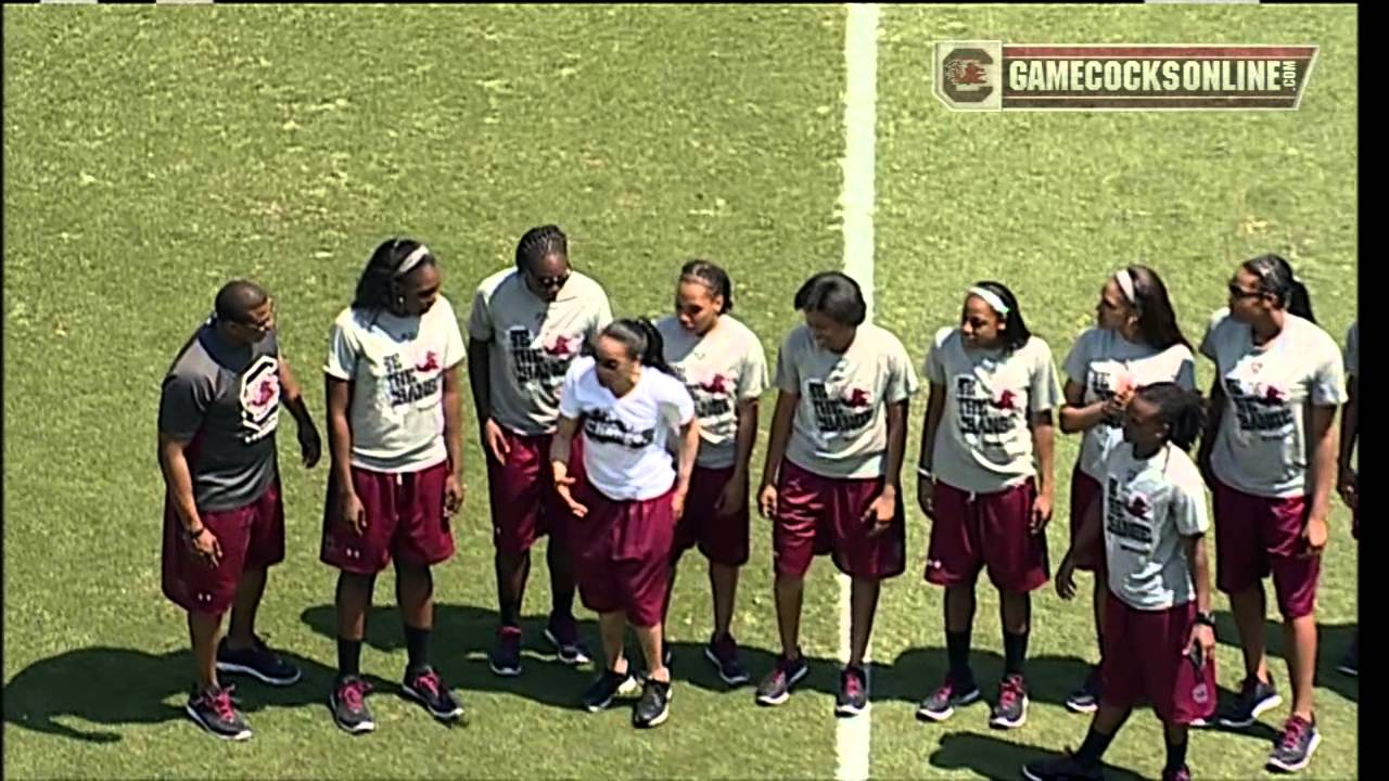 Garnet & Black Spring Game 2014 - Women's Basketball team recognition