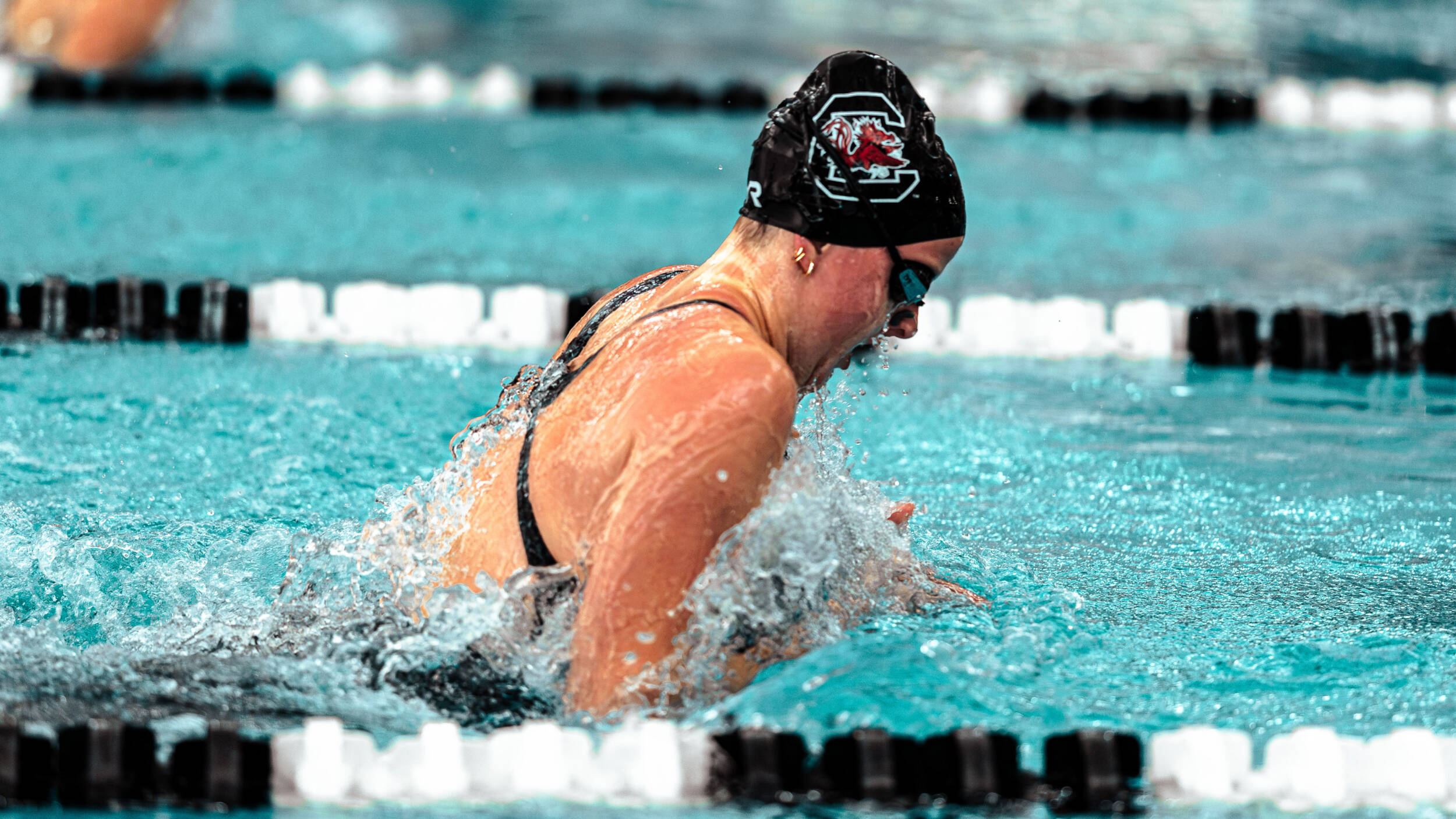 Gamecock Swim & Dive Takes on the ACC This Weekend