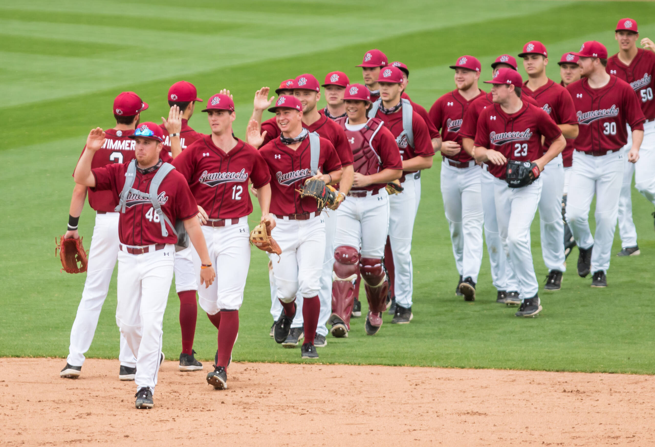South Carolina Gamecocks players celebrate a sweep of the Florida Gators.