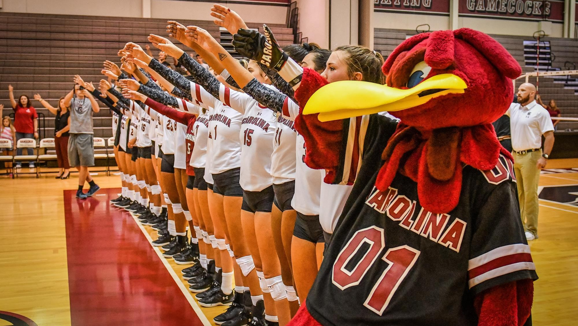 Gamecock Volleyball 18th in First RPI Rankings of the Season